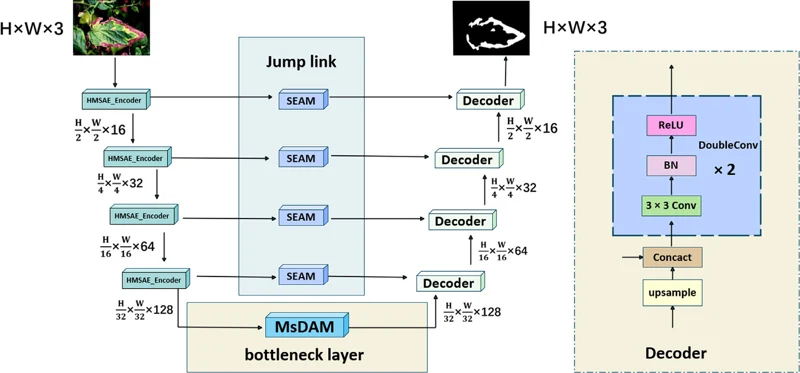 图1  HMSA-Net编码器、跳跃连接与解码器